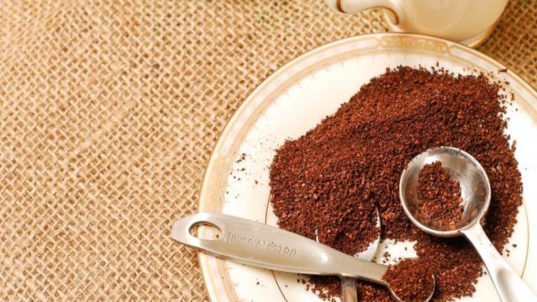 Le marc de café : Un produit de soin naturel