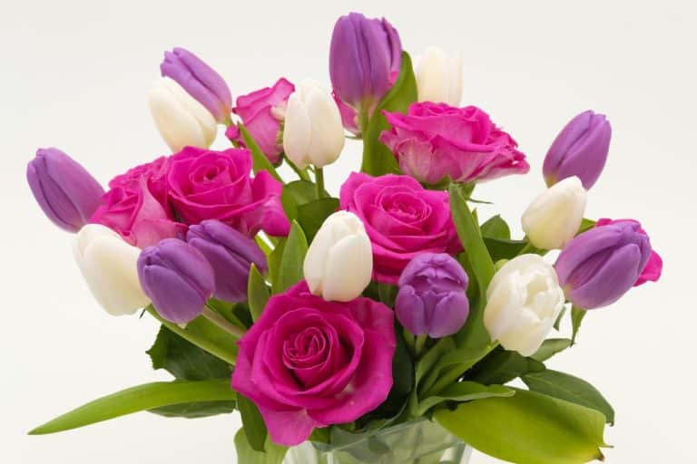 Pourquoi offrir des fleurs ?