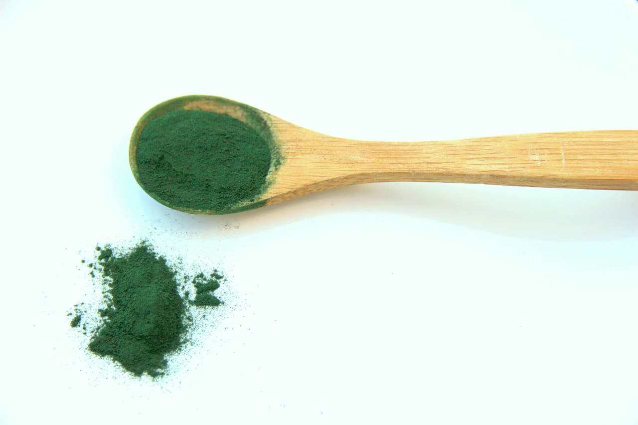 La spiruline, l’algue aux multiples vertus
